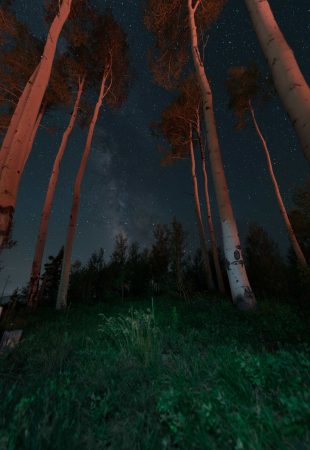 nathan-anderson-390498